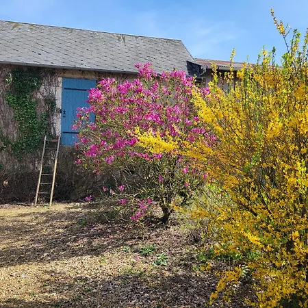 Maison A Louer Beaumont-Pied-de-Boeuf (Sarthe)